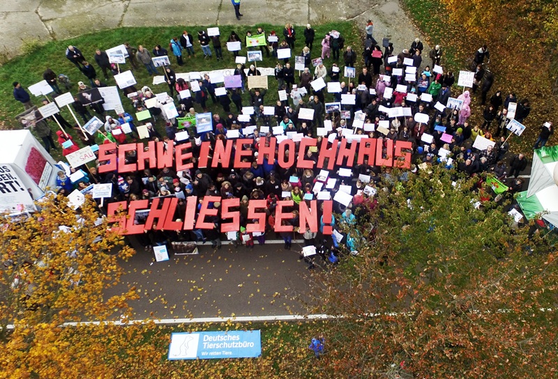 @ Deutsches Tierschutzbüro