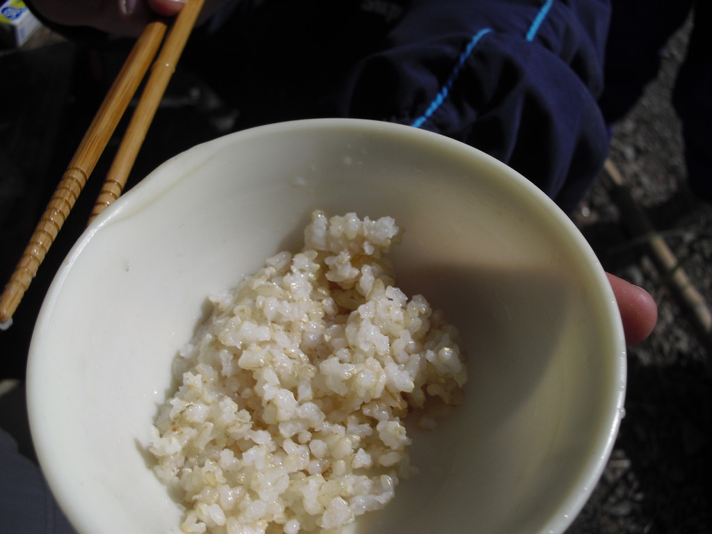 もっちり柔らかな玄米。おいしかった～