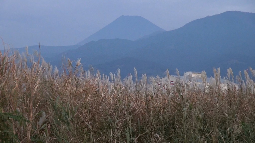 日が昇り、あたりも明るくなってきました。