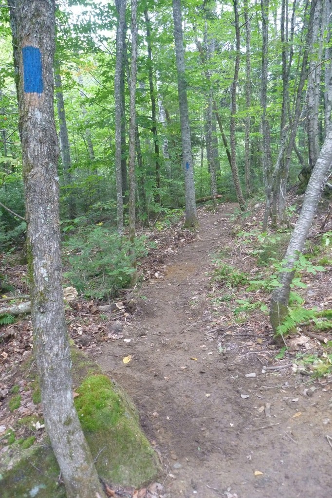 A new section of trail now winds through the Great North Woods