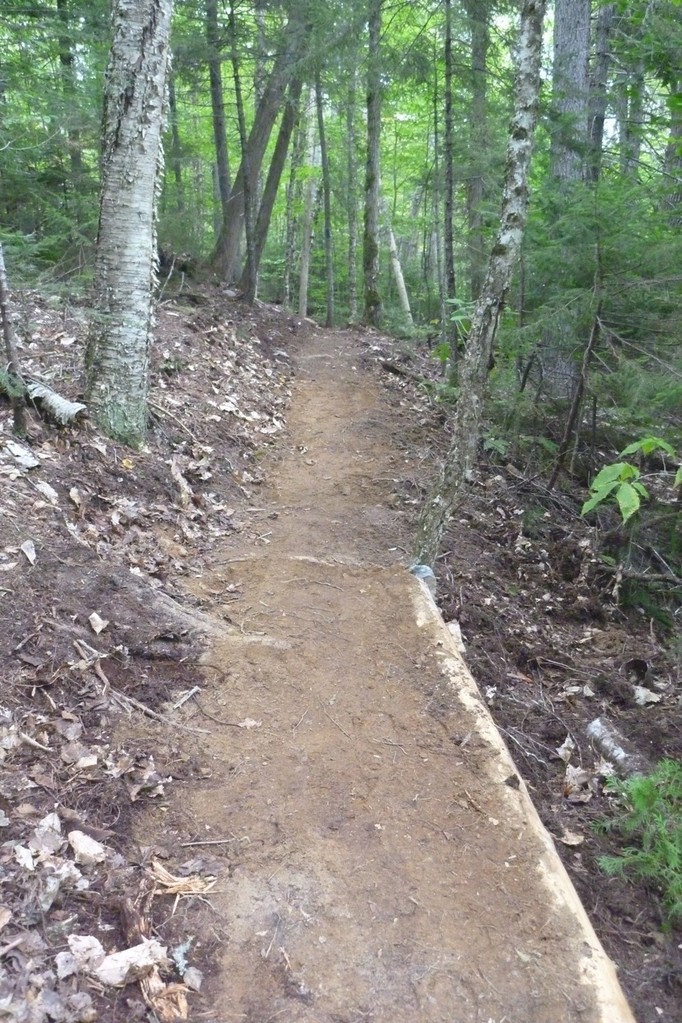  New trail with cedar cribbing
