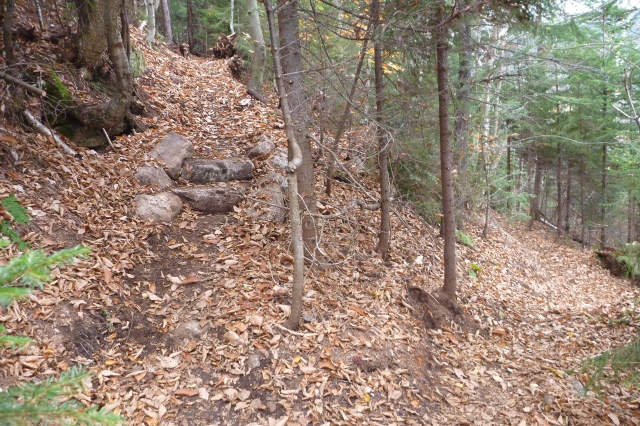 Dicey's Mill Trail, Ferncroft, NH OBP Trailworks LLC