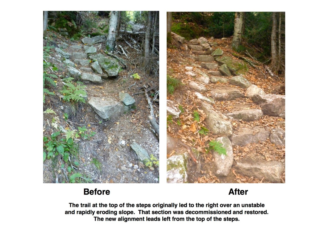 Dicey's Mill Trail, Ferncroft, NH OBP Trailworks LLC