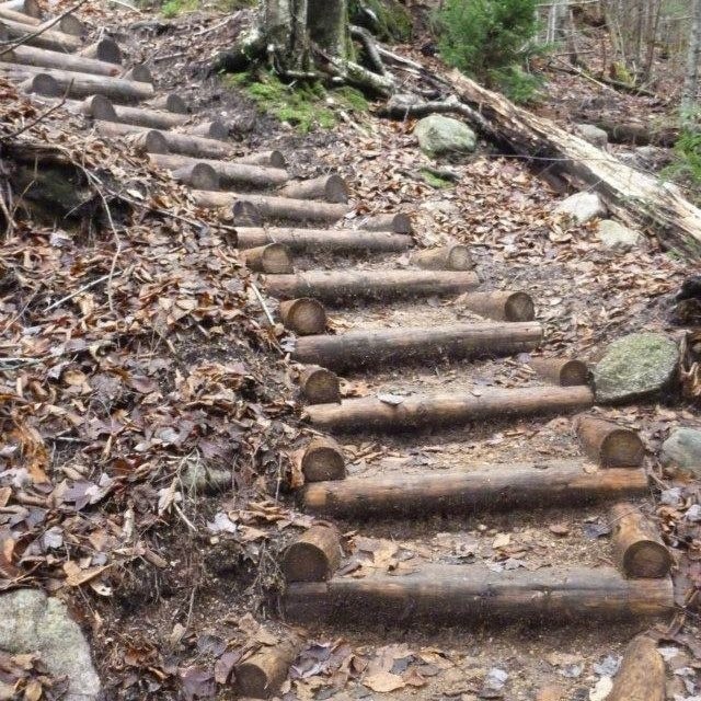 The completed bottom flight of native timber steps