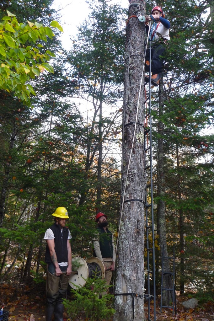 Chris and Robert hold the spool of wire rope as Jed sets the spar block 20' up in the tree