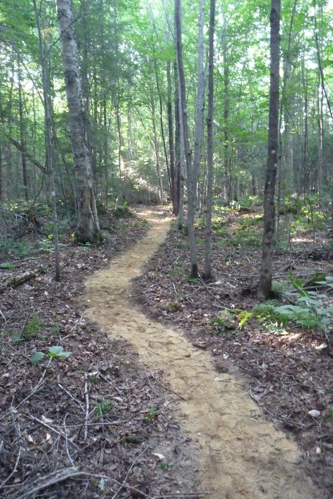 The organic soil was removed from the newly relocated and the surface was topped with mineral soil