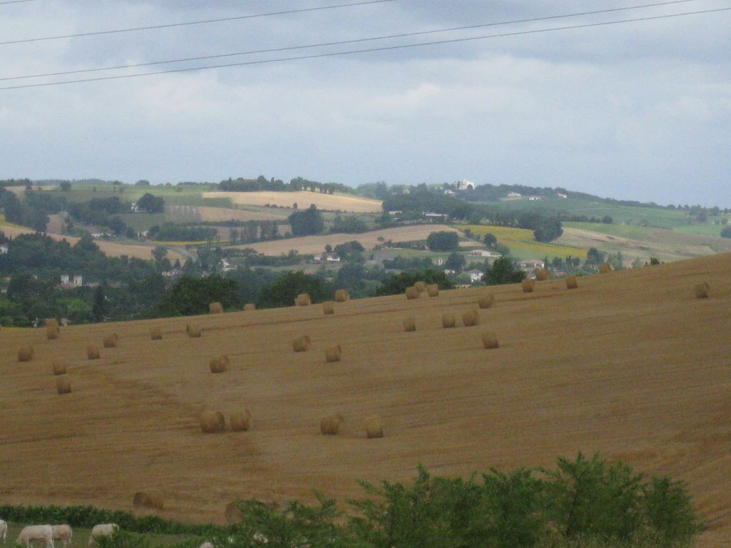 Lot-et-Garonne - Un paysage typique