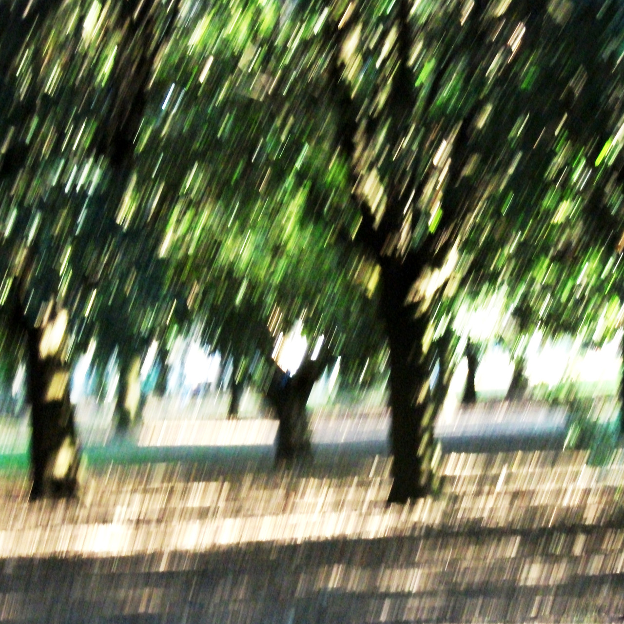 Progetti maria luce benini fotografia
