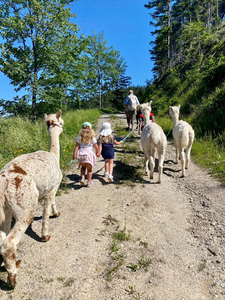 Wanderungen