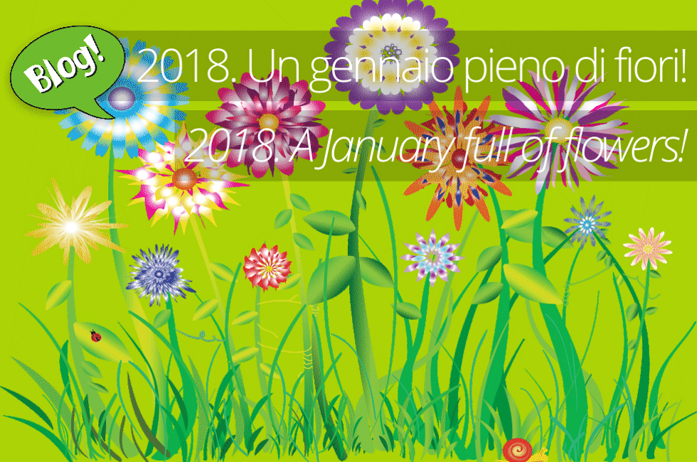 2018 A JANUARY FULL OF FLOWERS!