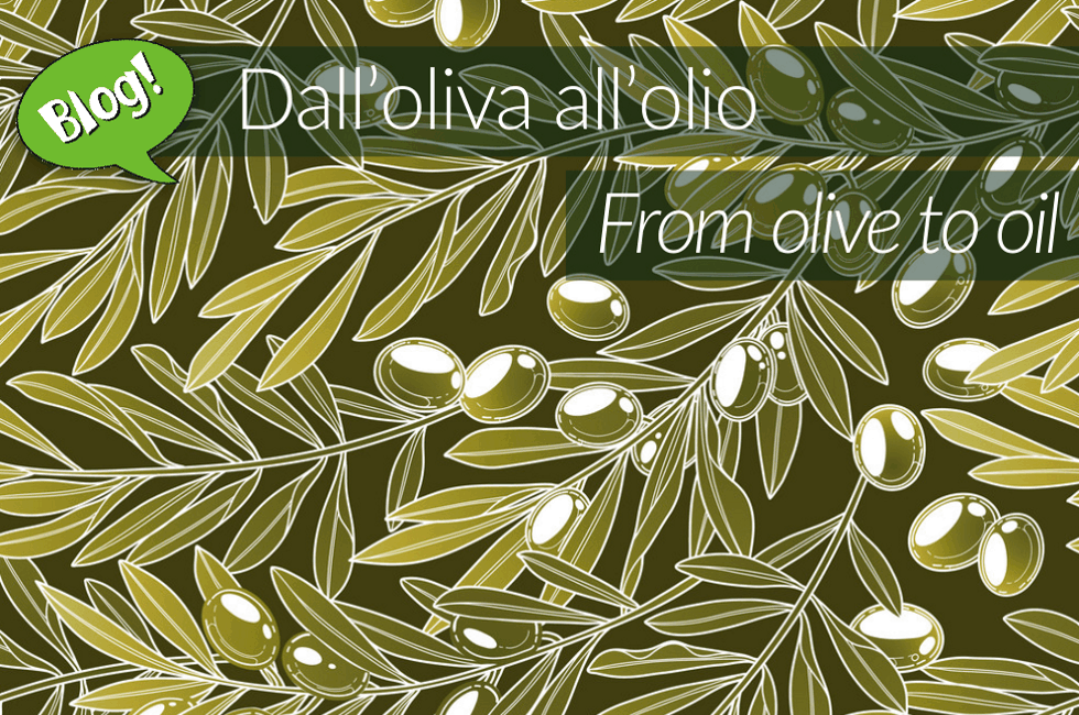 FROM OLIVE TO OIL