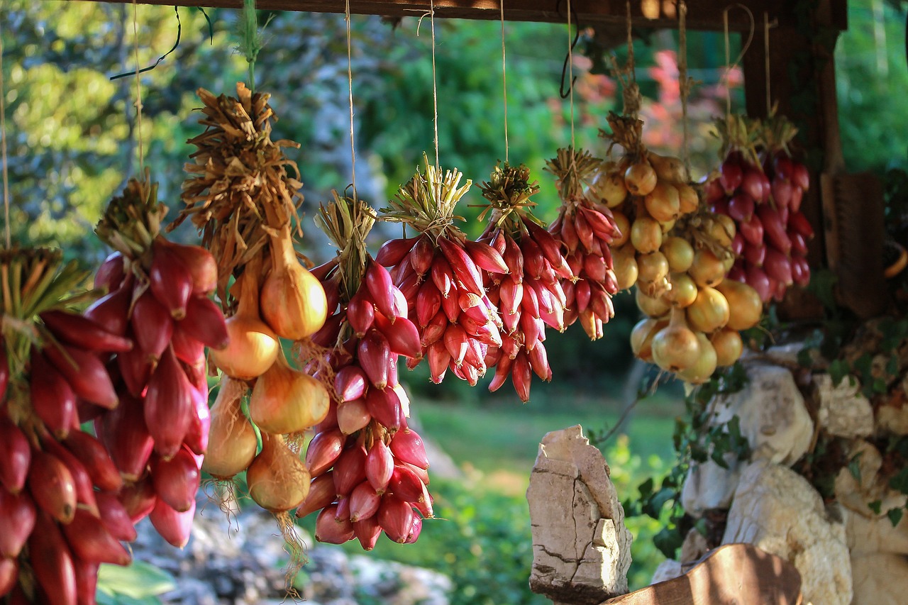 Die Cipolla Rossa di Tropea: Das rote Gold Kalabriens