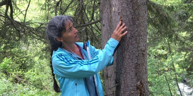 «Die Natur war für mich immer eine Lehrmeisterin und ein Ort innerer Ruhe und Zuflucht. Ich möchte die Leute dazu anregen, in sich und in der Natur versteckten Reichtum zu entdecken und zu geniessen.» Bild: Caminada