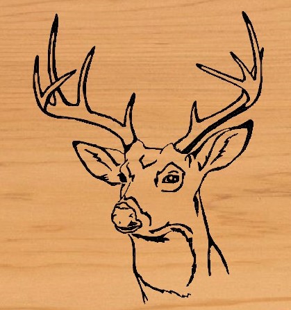 Deer Head 01