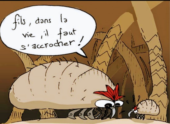 Illustration drôle poux
