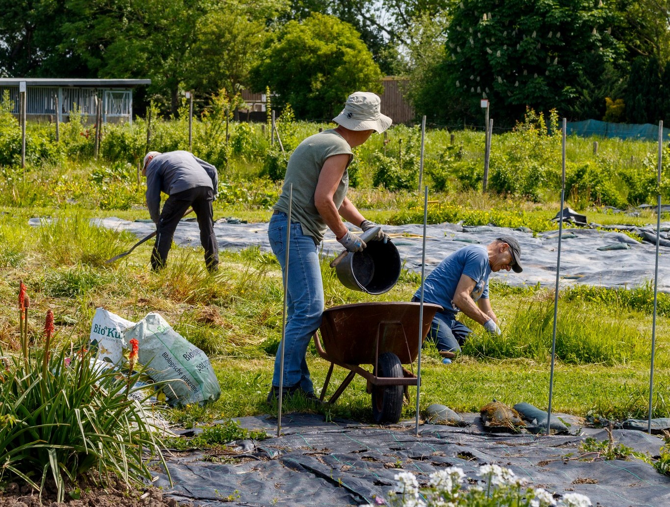 OPEN DAG op 28 februari van 11.00-14.00 uur