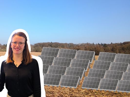 Freiflächen-Photovoltaik in Ganderkesee: Neuer Meilenstein für die Bürgerenergie
