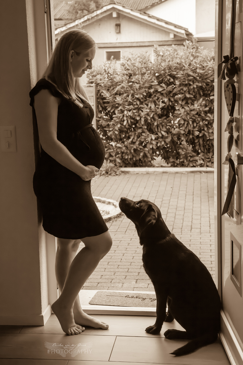 Fotoshooting mit Hund, Laufenburg