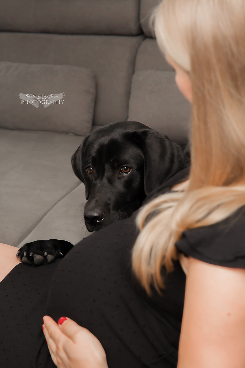Hundefotografie, Wallbach
