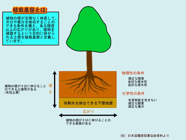 Shokusaikiban 株式会社 加瀬造園 Shokusaikiban 株式会社 加瀬造園