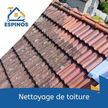 nettoyage toiture clermont ferrand