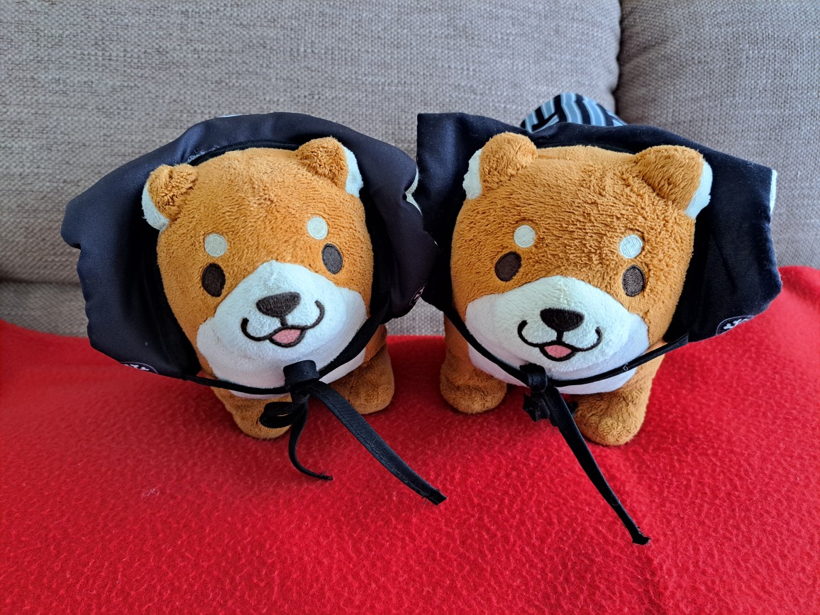 はじめです。
