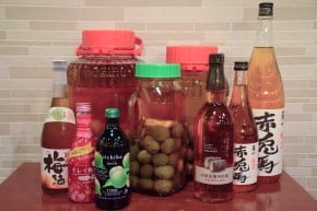梅酒各種