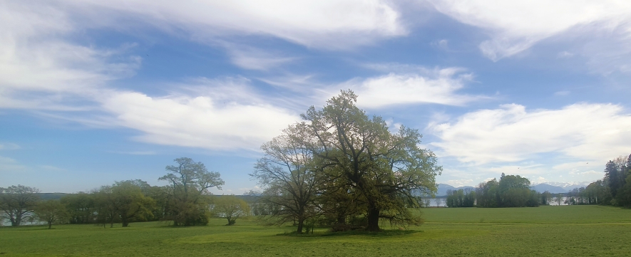 Bernrieder Park am Starnberger See, 27.04.26