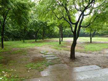 横浜市・舞岡公園のもみじ広場