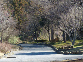 藤沢・新林公園の梅林から登山口