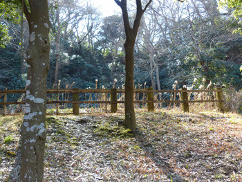 藤沢・新林公園の鳥獣保護区