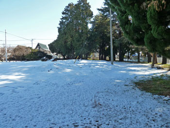 藤沢市・県立体育センターの雪景色