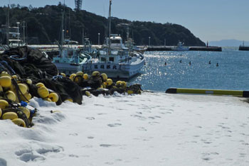 藤沢・雪の日の片瀬漁港