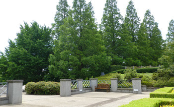 横浜・イタリア山庭園の樹木