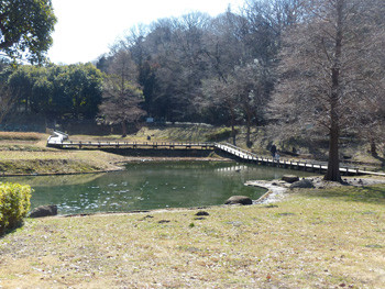 藤沢・新林公園の池