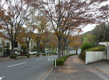 横浜市青葉台・バス停の鴨志田団地駅付近