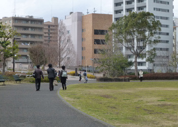 藤沢・奥田公園から見た藤沢のビル街