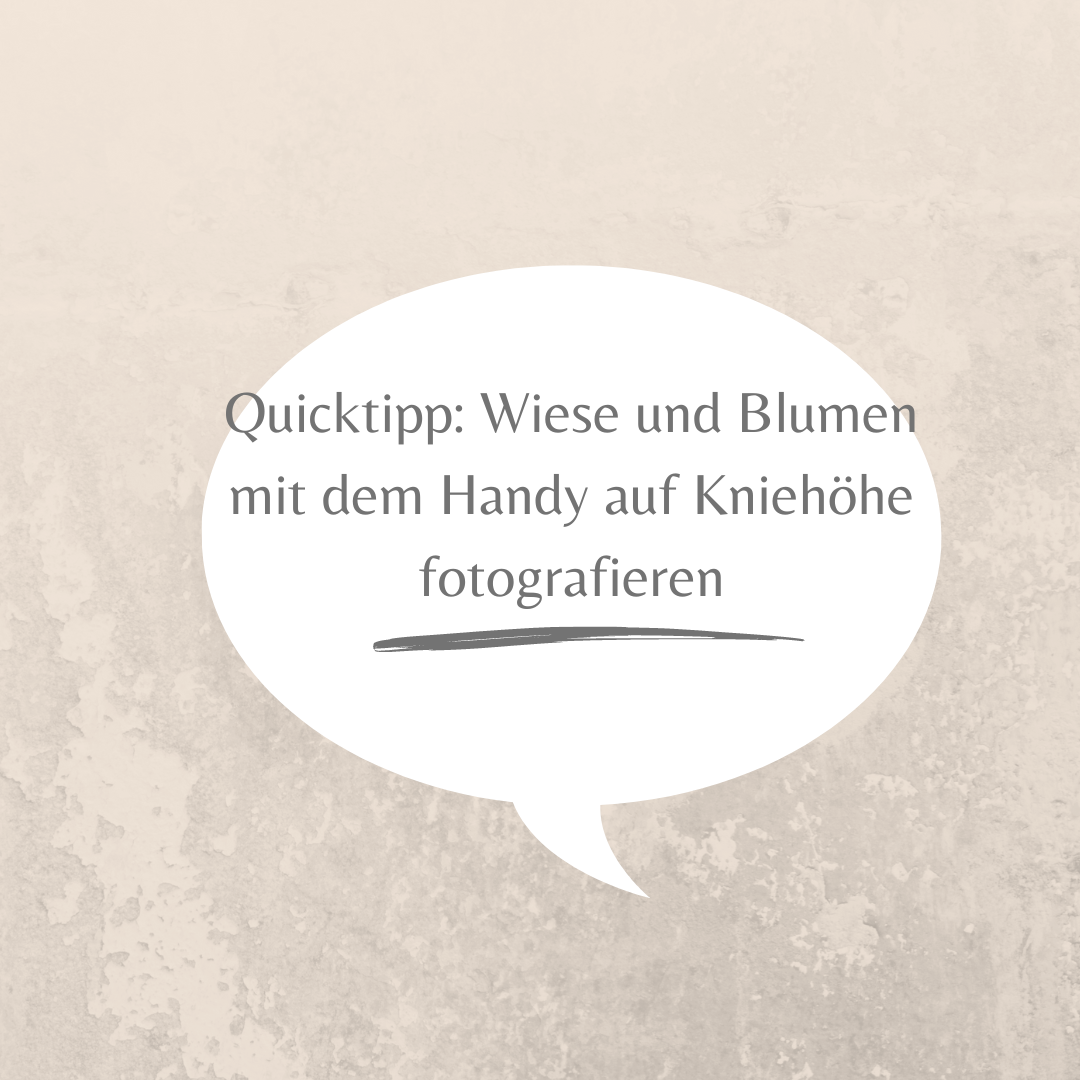 Quicktipp: Wiesenfotos auf Kniehöhe ohne in die Knie zu gehen