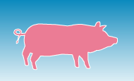 porc