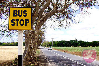 Bus auf Mauritius