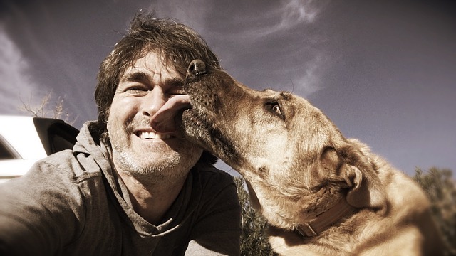 犬が飼い主を舐める理由とは ペットの気持ちを読み取るならmoco Moon