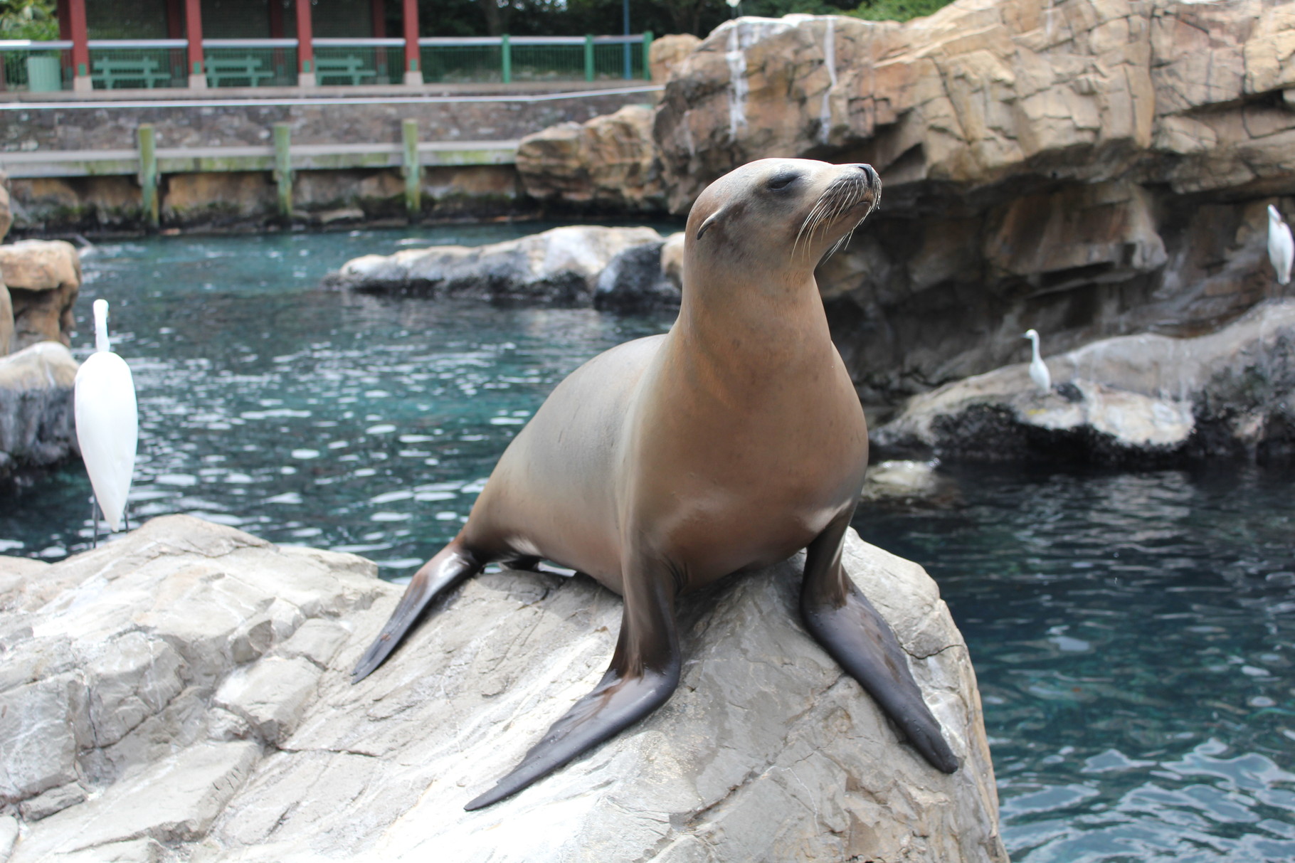 Seaworld