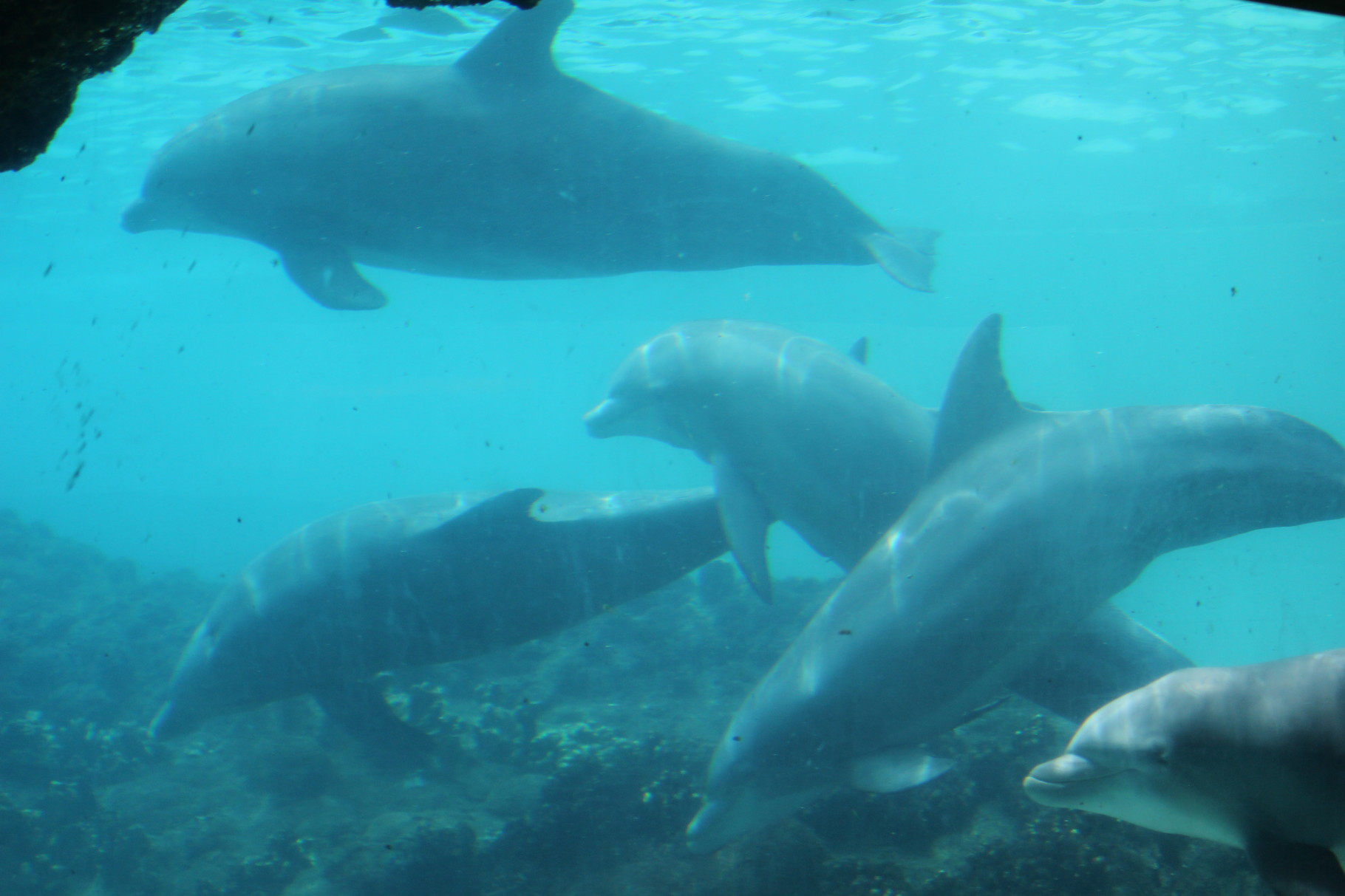 Seaworld