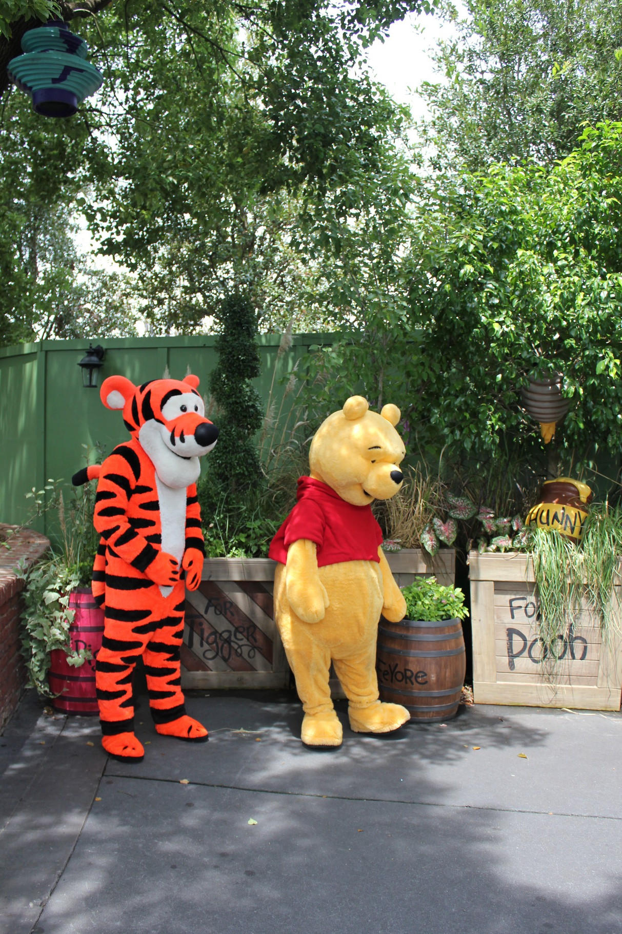 Disney World