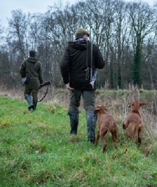 Nasengebraucht und Führigkeit - VJP Jagdhundeseminare von Hunt & Hound 