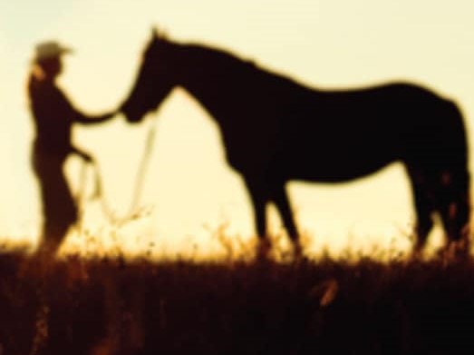 Therapeutisches Reiten im Westerwald Yvonne Schmidt-Röth Webseite!