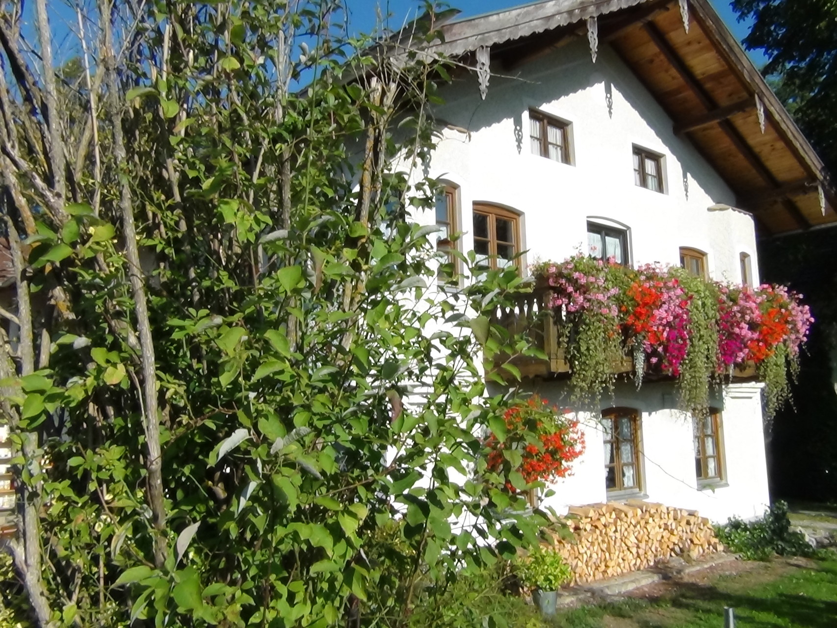 Fotogalerie brandmuehles Webseite!