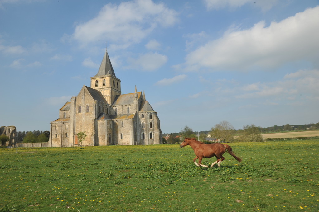 Photos Pierre-Yves LEMEUR 