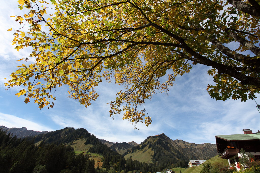 Haus Erika – Herbstpanorama