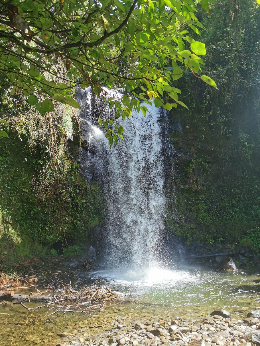 Lost Waterfalls - Nebelwald - Boquete